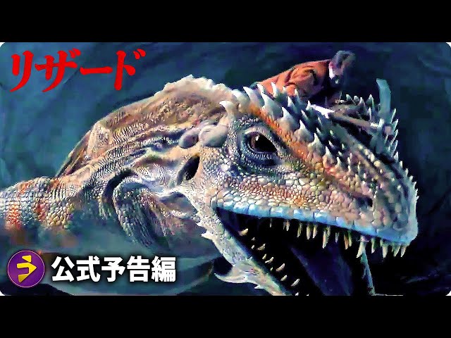 LIZARD リザード 「SA•KA•NA」発売記念パンフレット 生写真2超貴重 LIZARD リザード 「SA•KA•NA」発売記念パンフレット 生写真2超