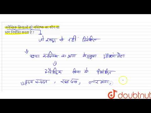 अनैच्छिक क्रियाओं को मस्तिष्क का कौन-सा भाग नियंत्रित करता है ?