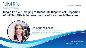 Single-Particle Imaging to Quantitate Biophysical Properties of mRNA LNPs