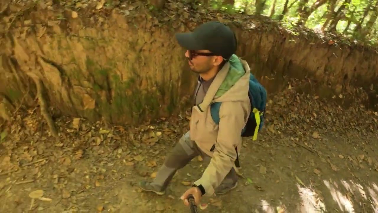 Silent Hiking Forest Loop |  Winter