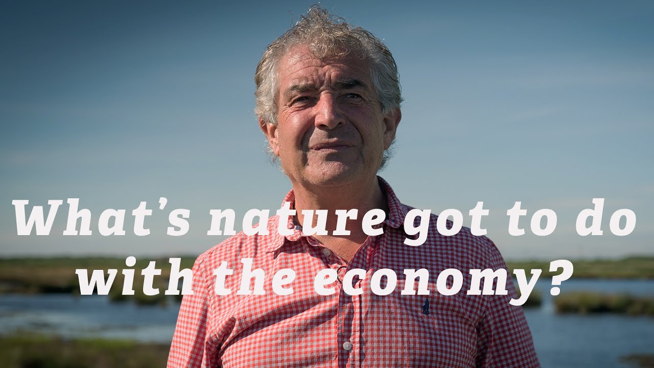 living proof What's nature got to do with the economy? General Election 2017