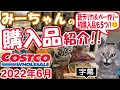 【字幕付】コストコ購入品紹介！2022年６月　シーフードパスタパエリア、マルチグレインココアスパイク、豆腐のおやつプリン、フランスパンラスクなど新商品＆定番合わせて21品で23,687円でした