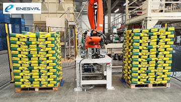 bagging palletizing 25 kg seed bags enesval