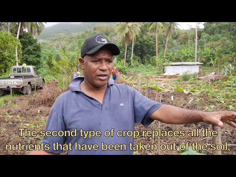 Organic Gardening in Vanuatu