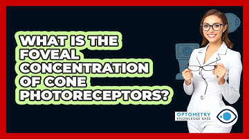 What Is The Foveal Concentration Of Cone Photoreceptors?