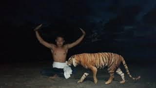 PSHT harimau menanti