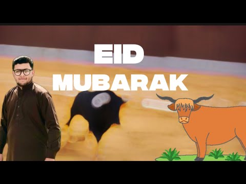 Eid mubraka 😊 our bull is very dangerous 🐂