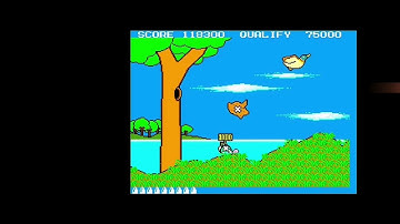 Safari Hunt - Sega Master System