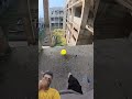 Spiderman's Creepy Cry Balloon💦#parkour#spiderman#water#jump#support#viral#jodhpur#india #pov#funny