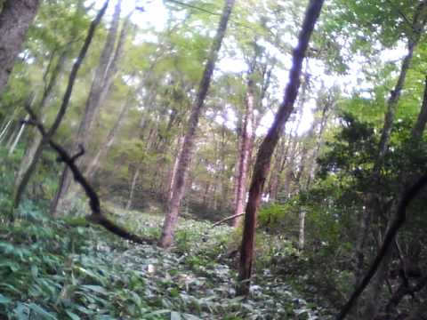 20111025_レコロ_テスト.avi