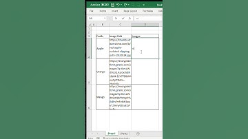 Excel New IMAGE Function #shortfeed