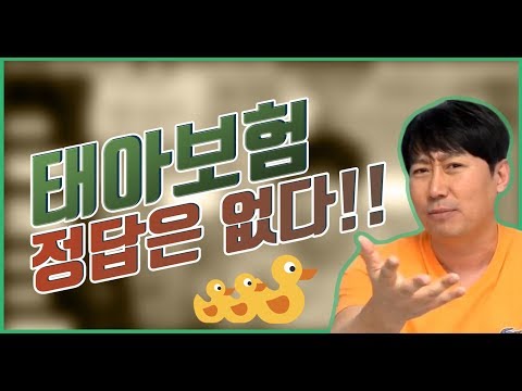 메리츠자동차보험