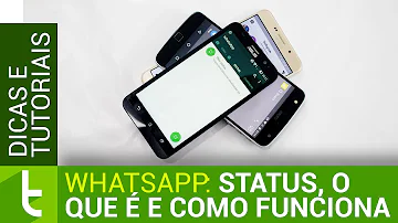 Para que serve o status?