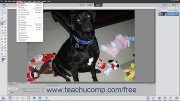 Photoshop Elements 2020 Tutorial The Red Eye Removal Tool Adobe Training