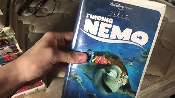 VHS Collection in a nutshell 2021 Edition