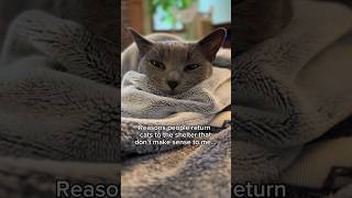 Adopting A Pet Is A Lifetime Commitment - Their Lifetime