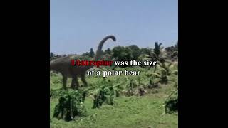 Dinosaurs were strange.. 😯 #shorts #prehistoric #dinosaur