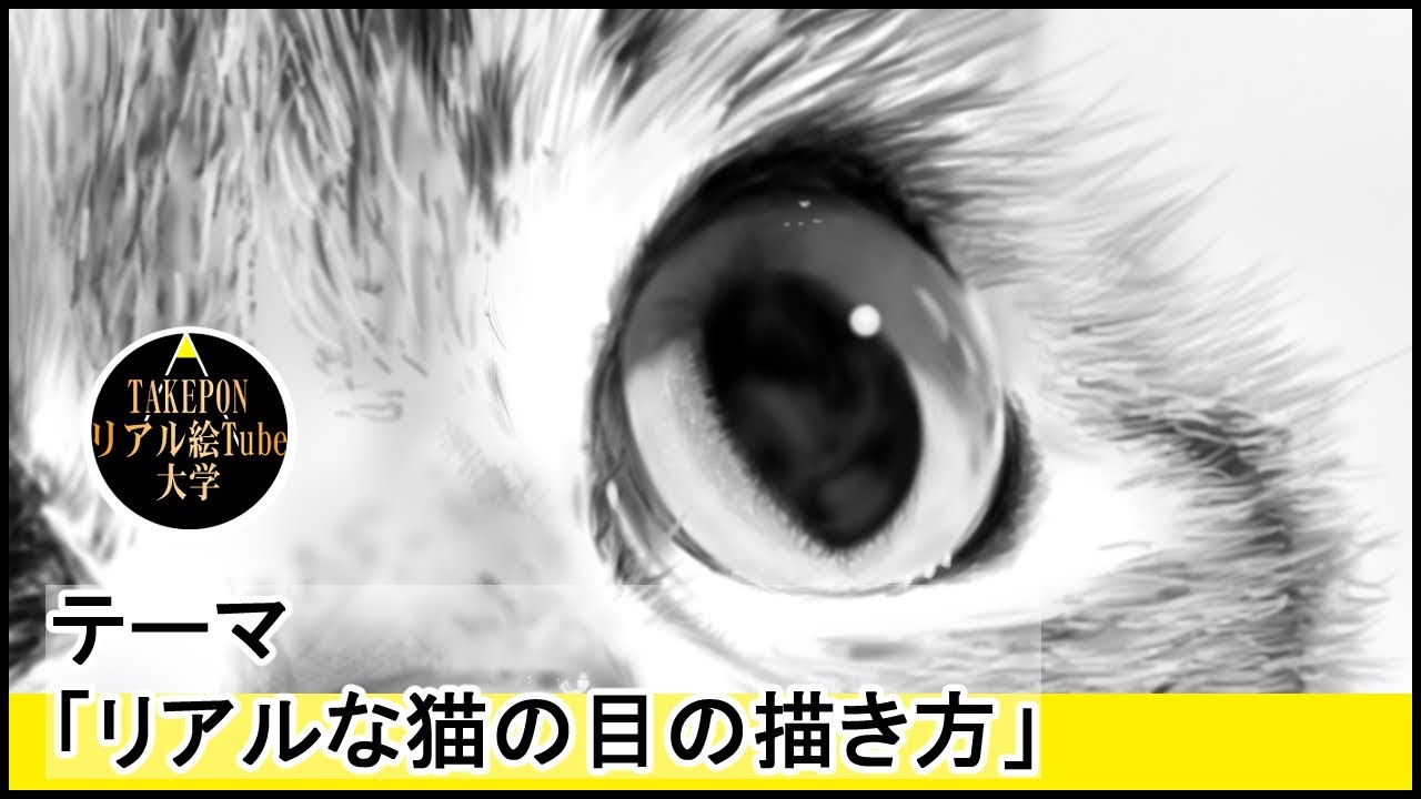 リアルな猫の目の描き方 絵の描き方 Youtube