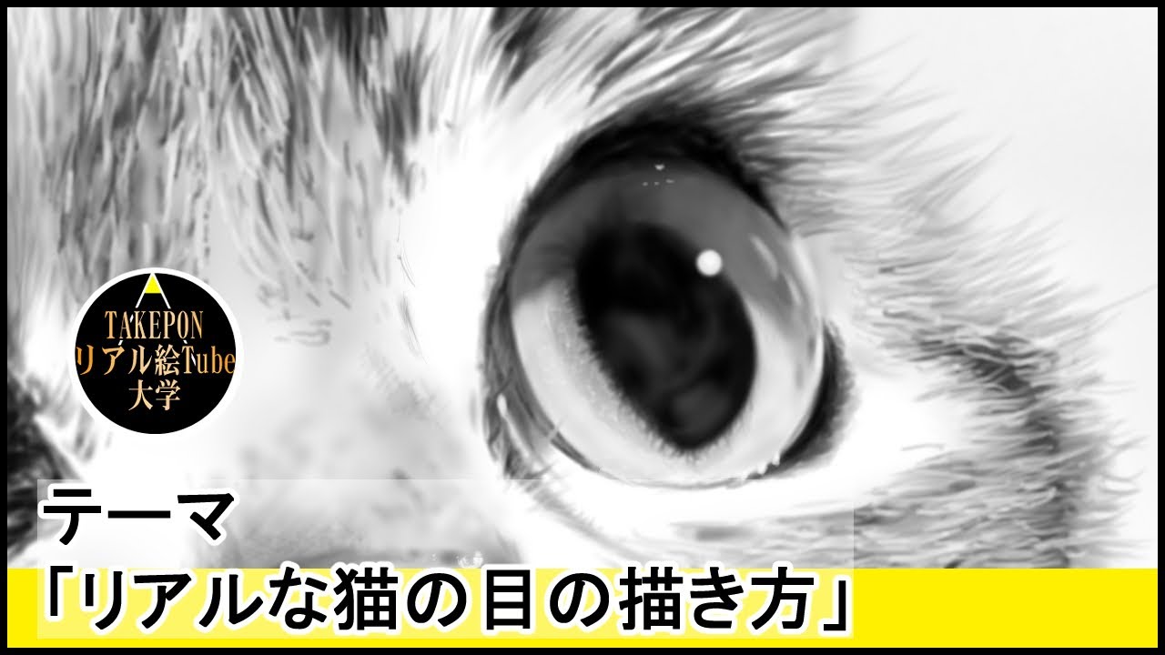 初心者でも簡単 5分でわかるリスの描き方 絵の描き方 ー中学校の美術で使える動物スケッチの書き方のコツ Youtube