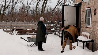 ПРАВДА О ПОМОЩНИКЕ ИЗ ПЕРВЫХ РУК🥶 ВИДЕО ДОКАЗАТЕЛЬСТВА!