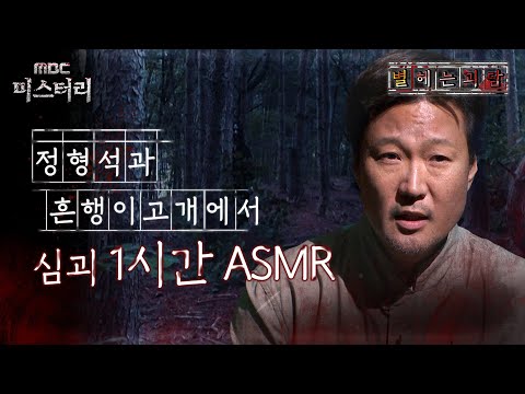 [별 헤는 괴담] 정형석과 흔행이 고개에서 심괴 1시간 ASMR #심야괴담회 #심괴 #어둑시니 #midnight #horrorstory MBC240901방송