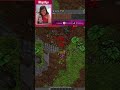 a selva inteira - https://elderan.online | #miapl4ys #Twitch #elderanonline #tibia #tibiaot #mmorpg