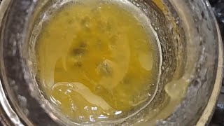 Full Spectrum Republic Magic Melon Indica Hybrid Review