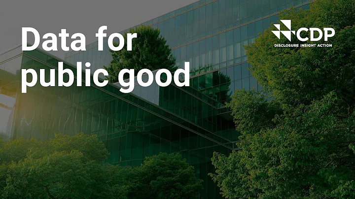 What are ESG ratings?