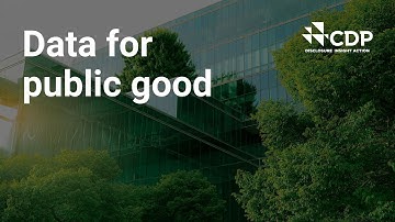 What are ESG ratings?