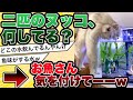 【2ch動物スレ】ネコさん水槽のお水を飲むwお魚さん、気を付けてww