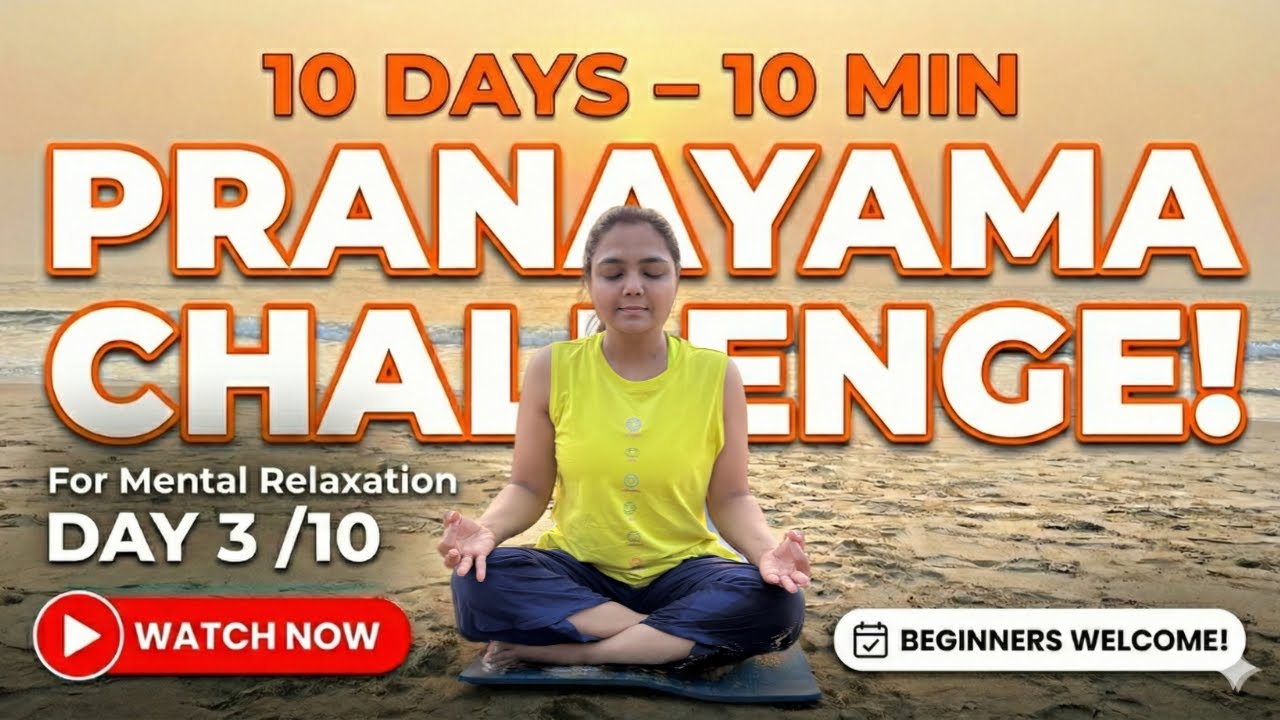 День 03: снятие стресса (видео)