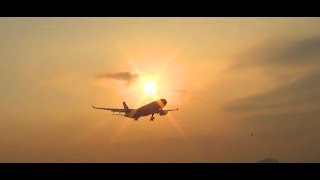 Beautiful Sunrise Landing of Etihad Cargo Airbus A330-243F(A6-DCB) at Mumbai Airport