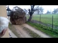 Pokretno sijeno na Panđurištu - Moving hay in Bosna