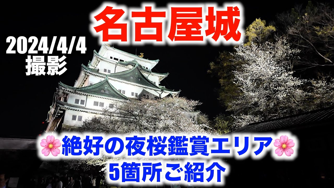 名古屋城 桜まつり 絶好の夜桜鑑賞エリア 5箇所ご紹介〈2024/4/4 撮影