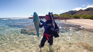 Caught My Biggest Uhu! / Beach Day With Girlfriend / Spearfishing Hawaii  #GETIT