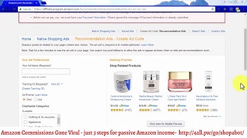 Video 13   Amazon Native Shopping Ads