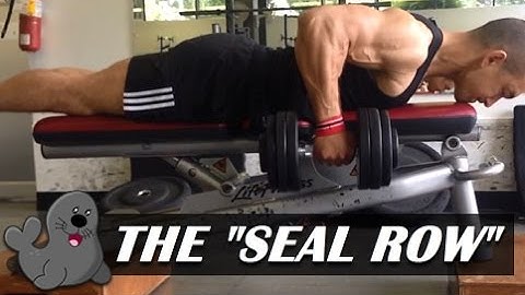 The "Seal Row": A Unique Exercise For A Bigger Back
