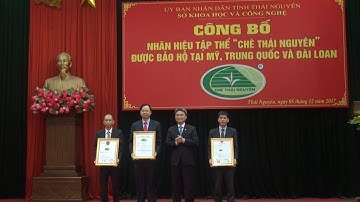 Chương trình thời sự 6h30 ngày 6-12-2017