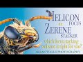 Helicon or Zerene - which focus stacking software is right for you?
