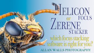 Helicon or Zerene - which focus stacking software is right for you?