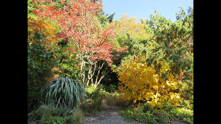 Tour of the Elisabeth Miller Botanical Garden