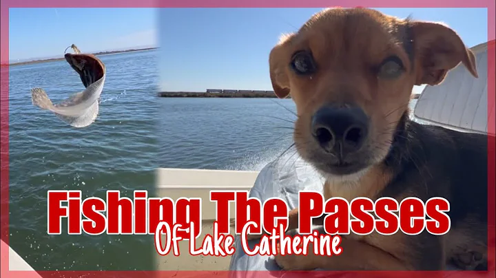 DockSide TV 'Fishing the Passes of Lake Catherine'