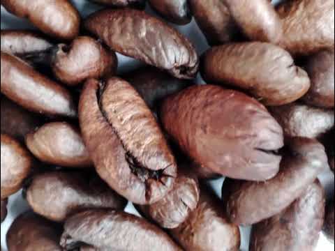 Більше, ніж просто заряд кофеїну: як кава змінює зв’язок між кишечником та мозком