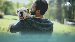 Caring and Compassionate Veterinary Client Services | Eagle Animal Hospital & Pet Resort