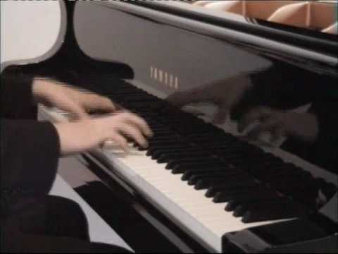 Tchaïkovsky F Noack Swan Lake Florian Noack Piano