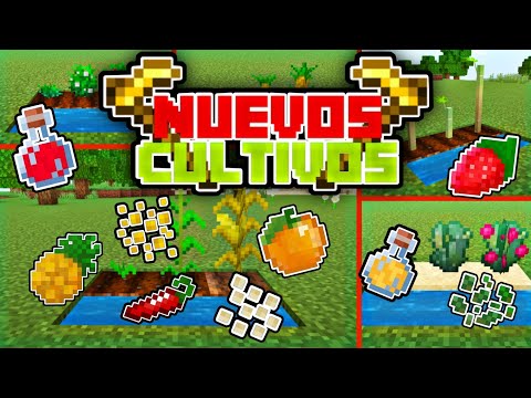 👉¡More Plants ADDON! ► NUEVOS Cultivos para MINECRAFT PE (1.18+)