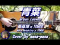 秦基博×TOMOO/青葉 (ギター弾き語りカバー by masa-masa) ☆フル/コード/歌詞/English translation