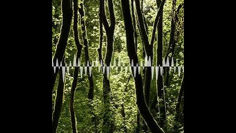 Jungle Fever - Elektron Analog Keys