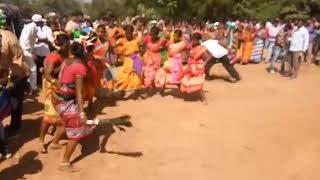 Halba - Penthia Tribal Dhemsa Group