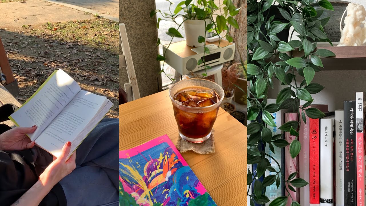 삶은 고통일까 축복일까, 인생 책 추가요📖 | 독서 브이로그 vlog